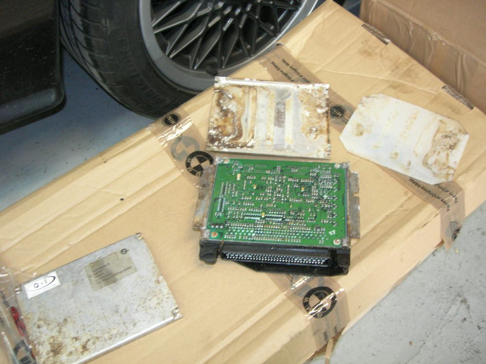 DSCN9786.JPG