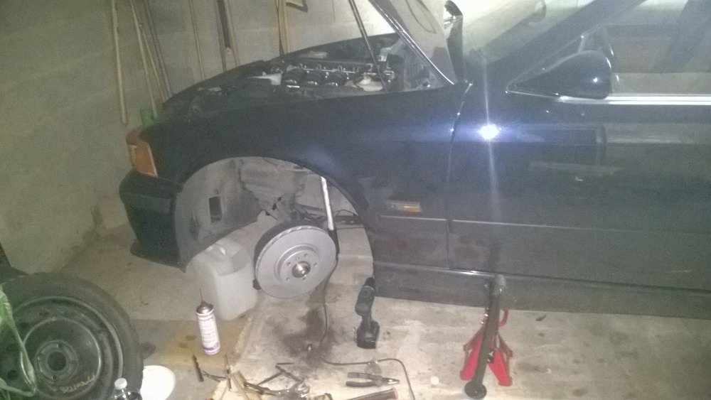 WP_20160413_009.jpg