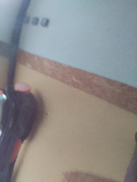 IMG_20160605_172854.jpg