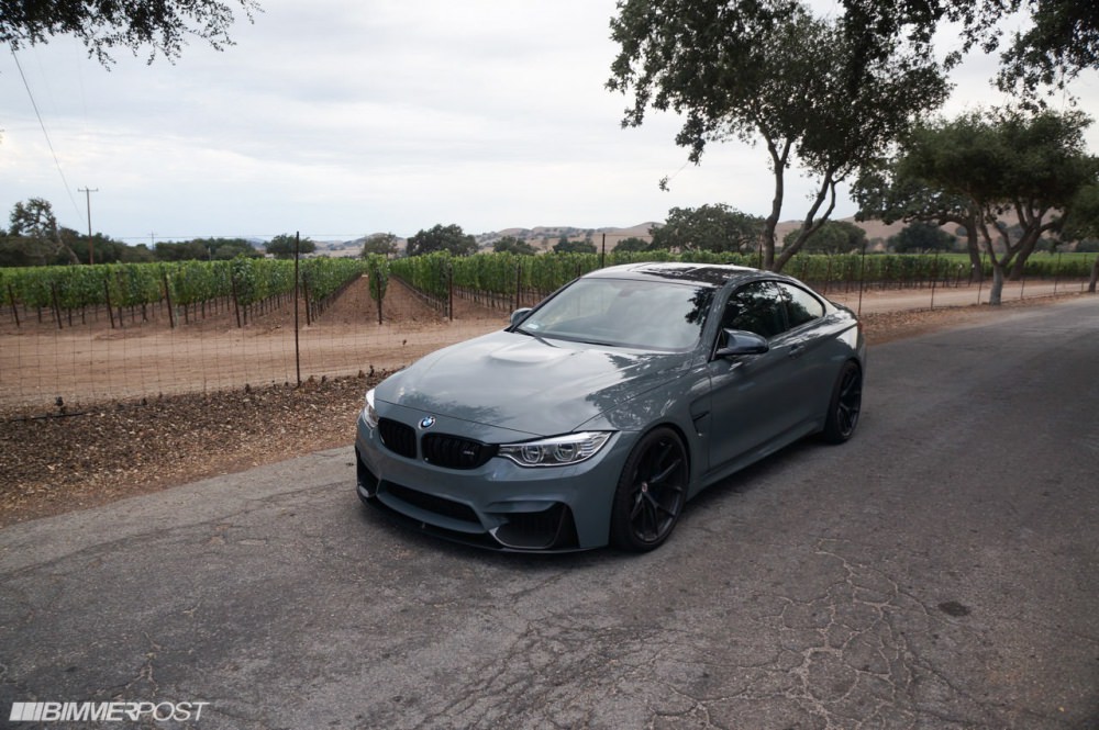 golffrr-5.jpg