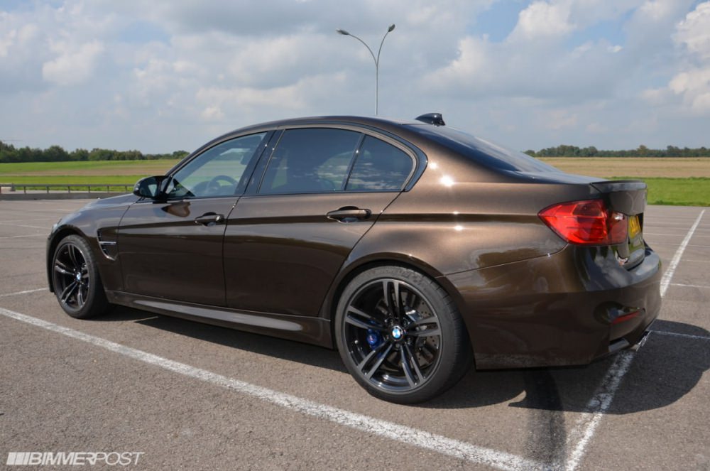 pyrite-brown-f80m3-individual-4.jpg