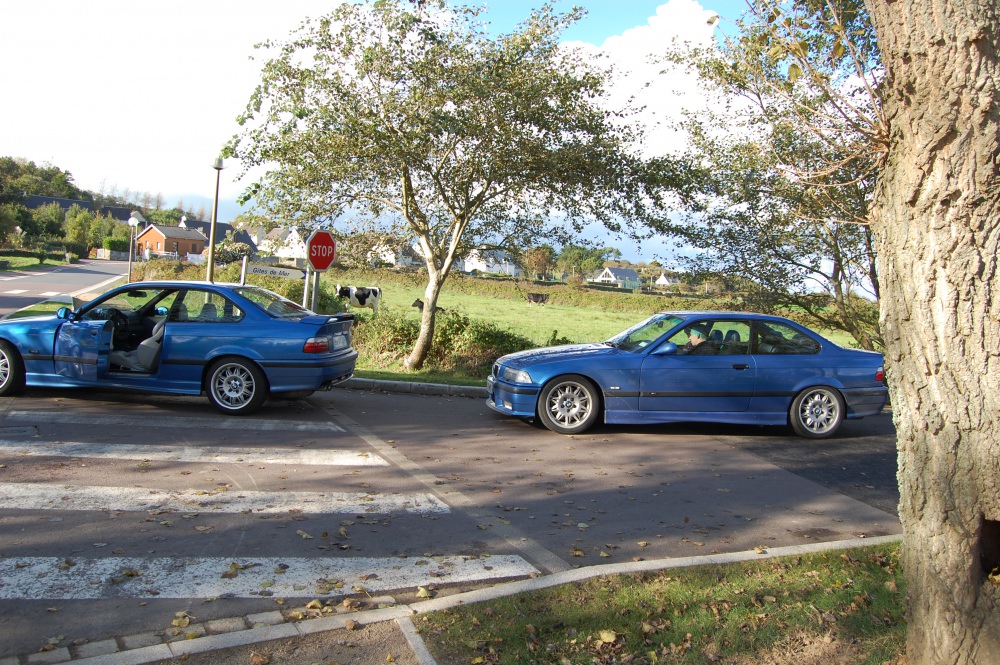 DSC_0220.JPG