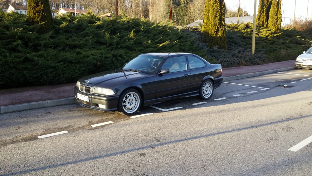 m3 (1)-001.jpg