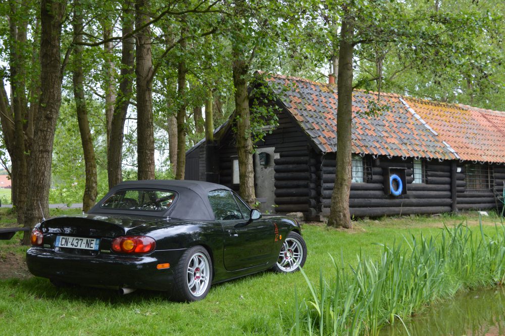 DSC_0918.JPG