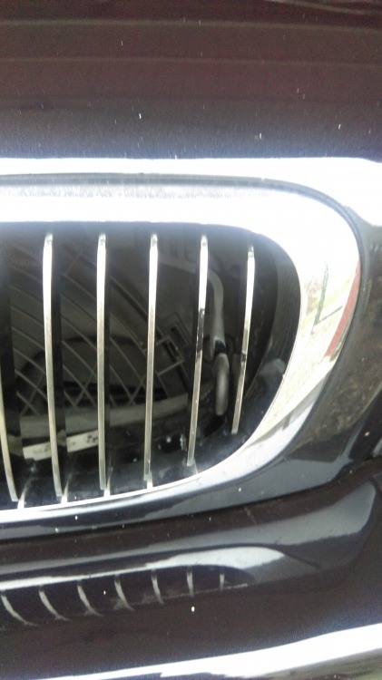 IMAG0814.jpg