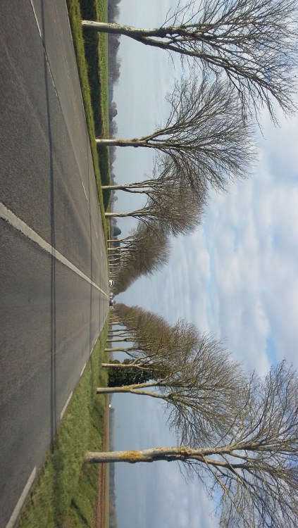 IMG-20161210-WA0019.jpeg