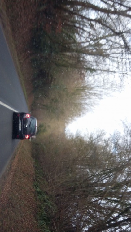 IMG-20161210-WA0054.jpeg