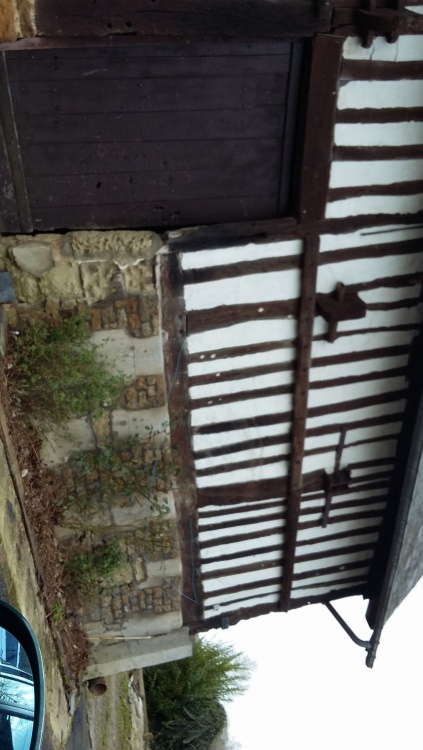 IMG-20161210-WA0081.jpeg