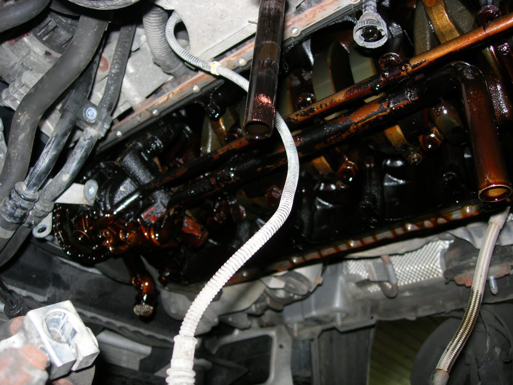 DSCN9587.JPG