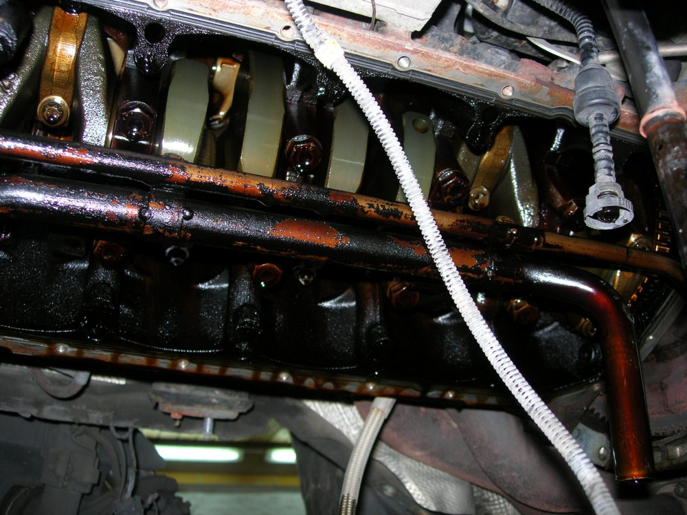 DSCN9588.JPG