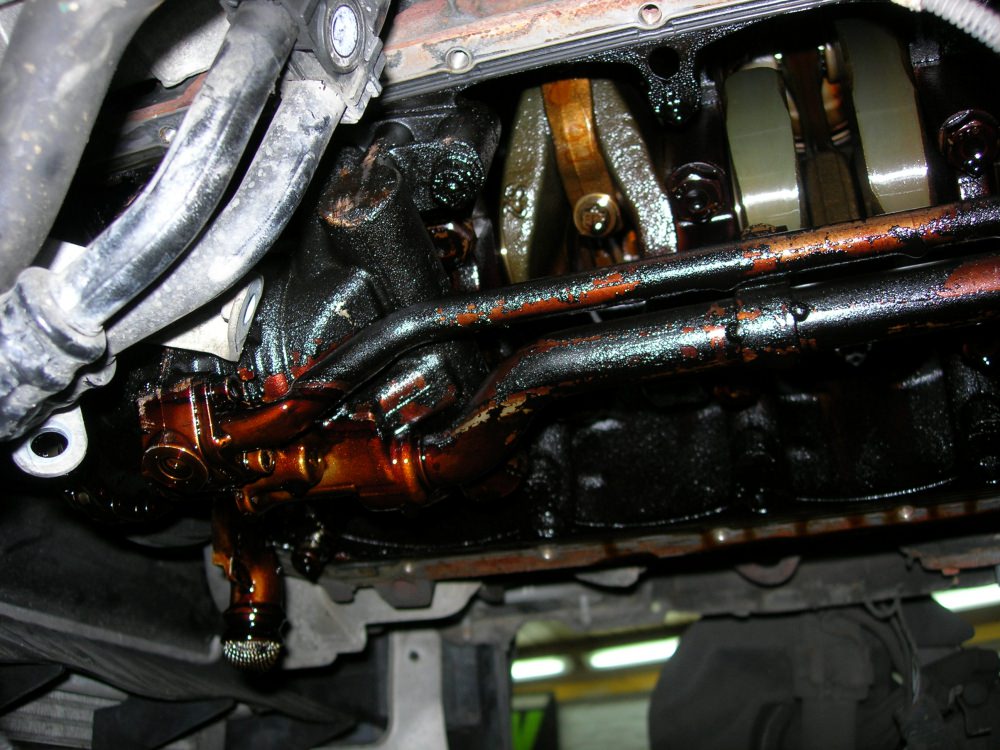 DSCN9589.JPG