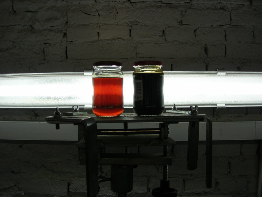 DSCN9619.JPG