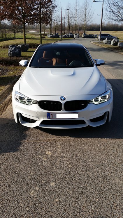 20170213_151619.thumb.jpg.5ade501856f4034b74c3b230aab8784c.jpg