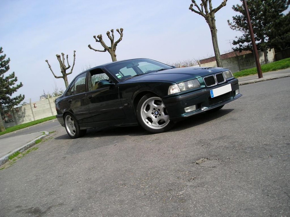 58c5553a71a14_Photo1.thumb.JPG.f0bd0736933936a40183b103d573ceb5.JPG