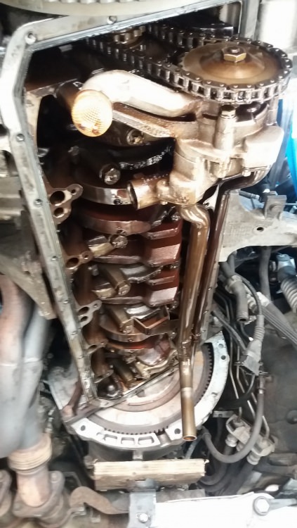 20170403_172955.jpg
