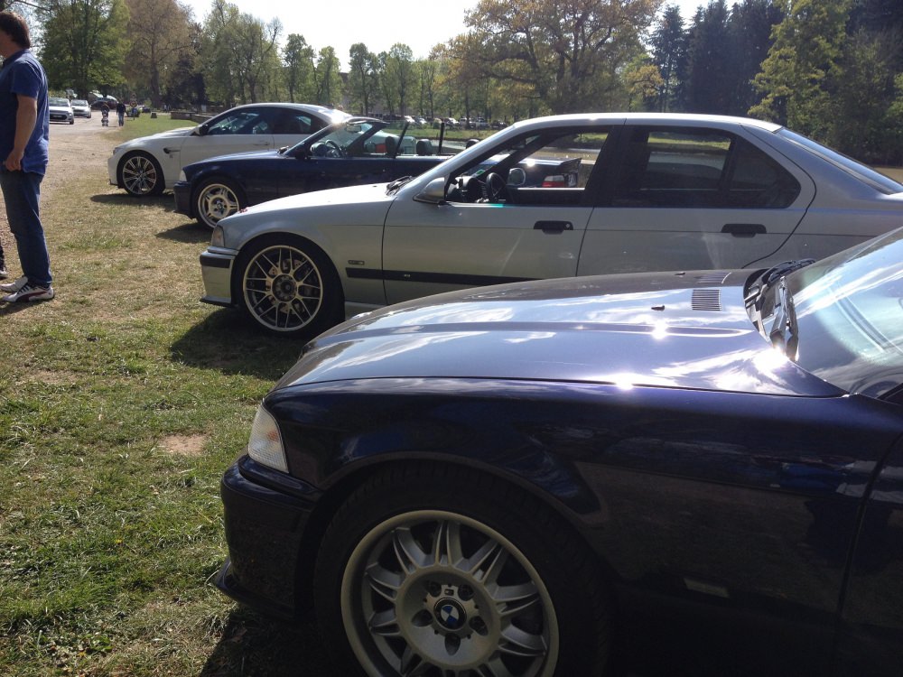 58fce503128f3_IMG_1976-Copie.thumb.JPG.f98c46b0c5402dd293ea550a2110035a.JPG