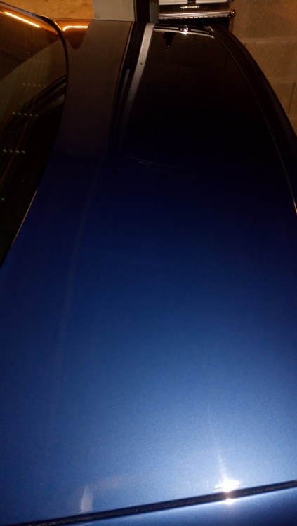 DSC_4963.thumb.JPG.4c76dea22428cef286b5288a5830d6bc.JPG