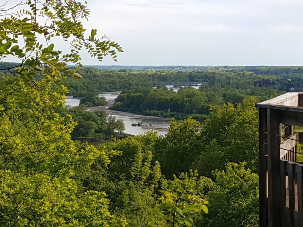 20170505_174642.jpg