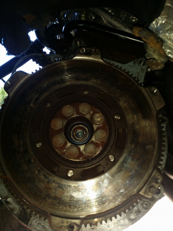 20170517_145855.jpg
