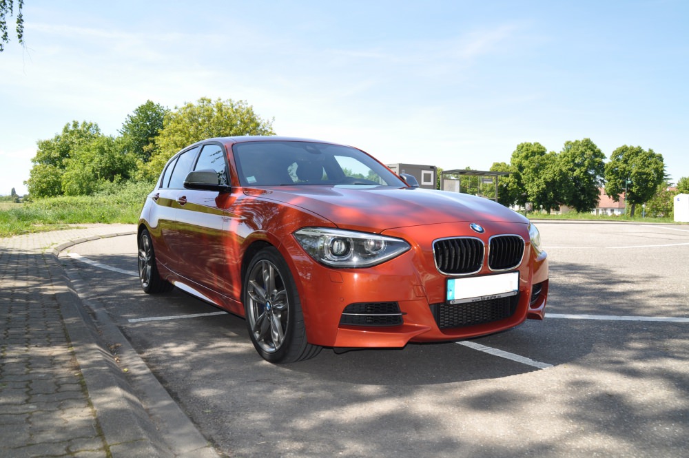 DSC_0155.thumb.JPG.cc3366f99d93aacde6cb2b45356f3f1b.JPG