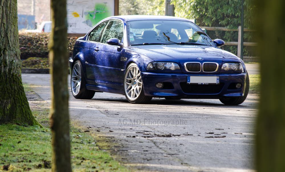 DSC_9047.thumb.jpg.c2162d7c4a322b3dab3ec06c1be84c07.jpg