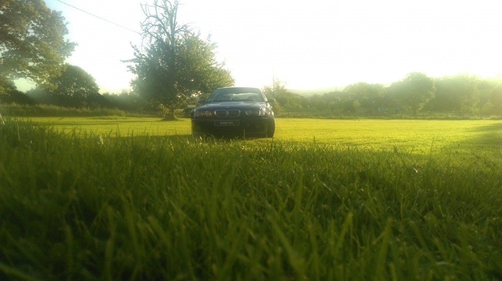 IMAG0166.jpg