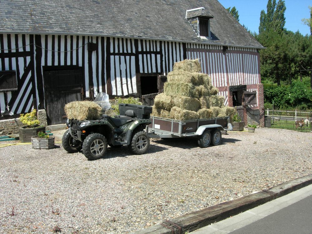 DSCN9096.JPG