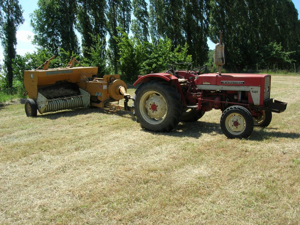DSCN9099.JPG