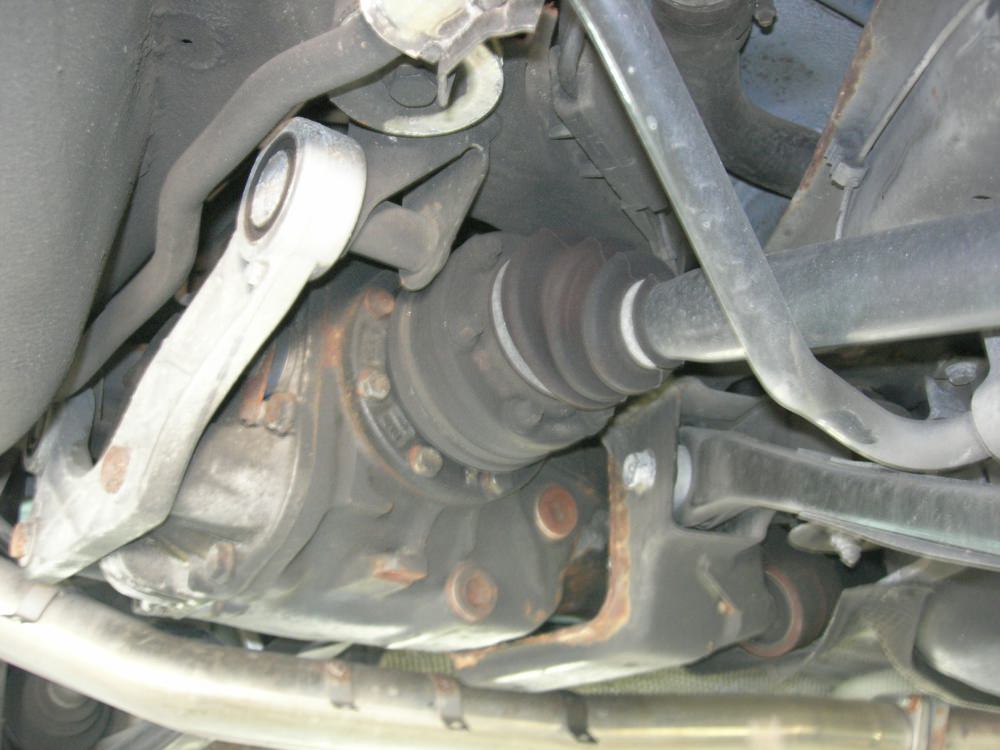 DSCN9138.JPG