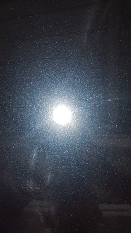 20170720_171917.thumb.jpg.1df23c9928936256321ac1e893a8df7c.jpg