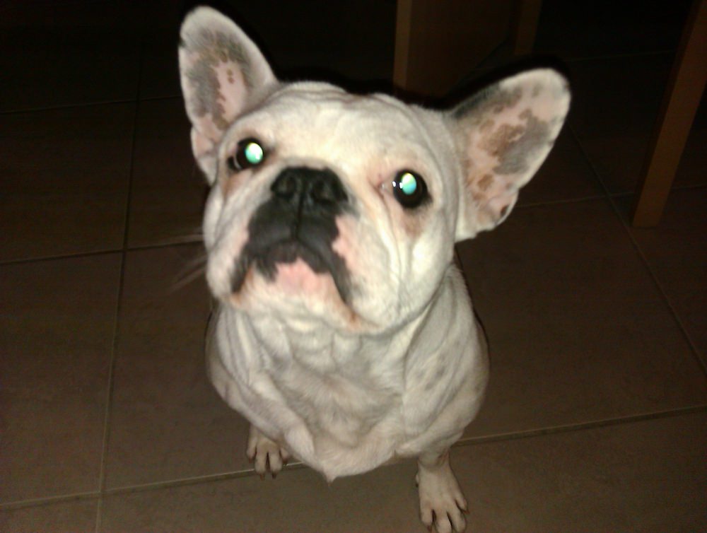 IMAG0015.jpg