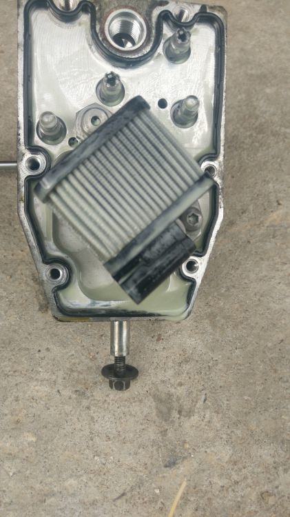 IMAG0420.jpg