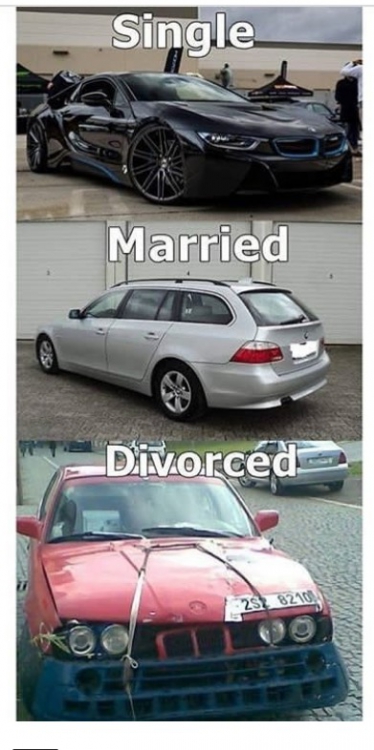 IMG_7752.PNG
