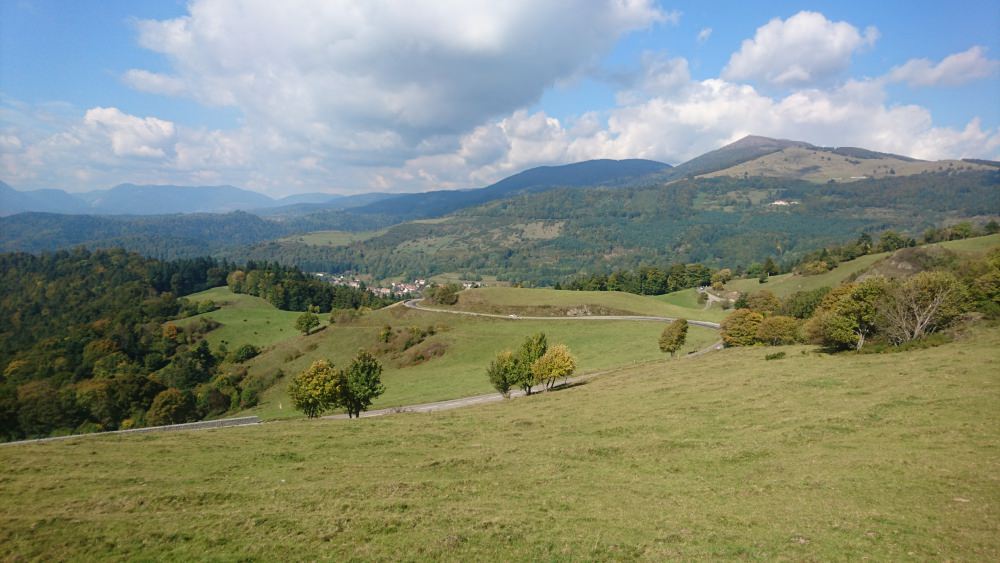DSC_1869.JPG