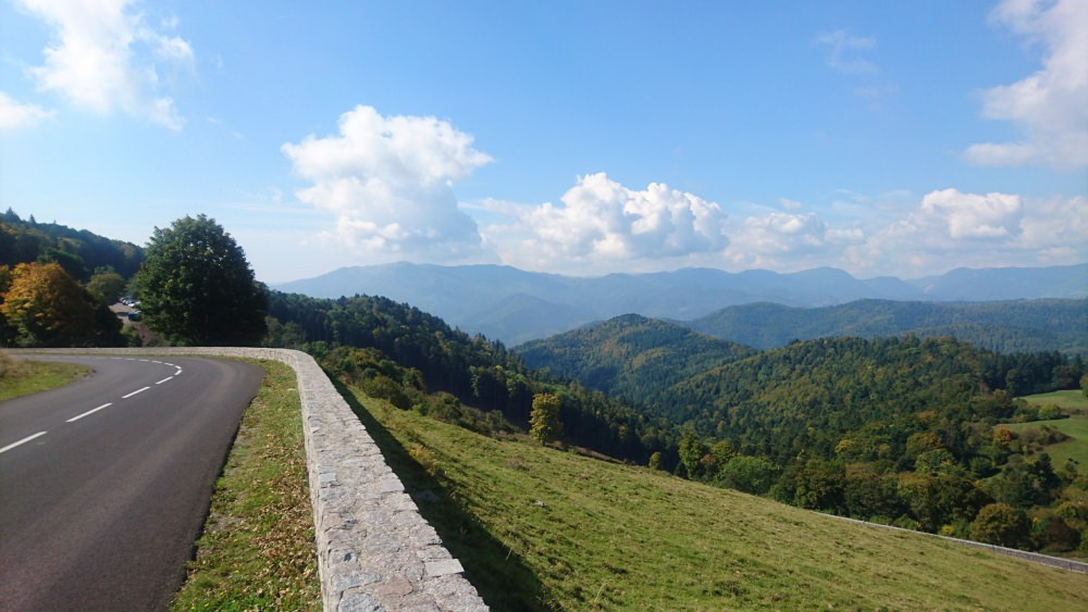 DSC_1870.JPG