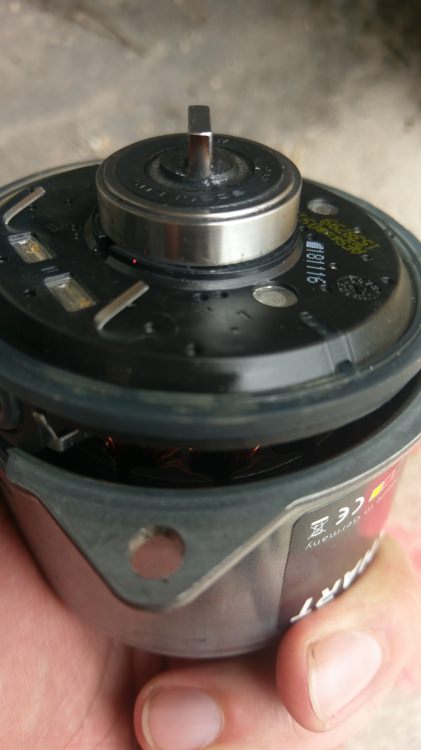 IMAG0561.jpg