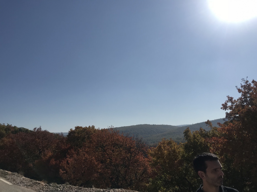 166769ED-6782-49A0-86F6-EFF07E4D854A.jpeg
