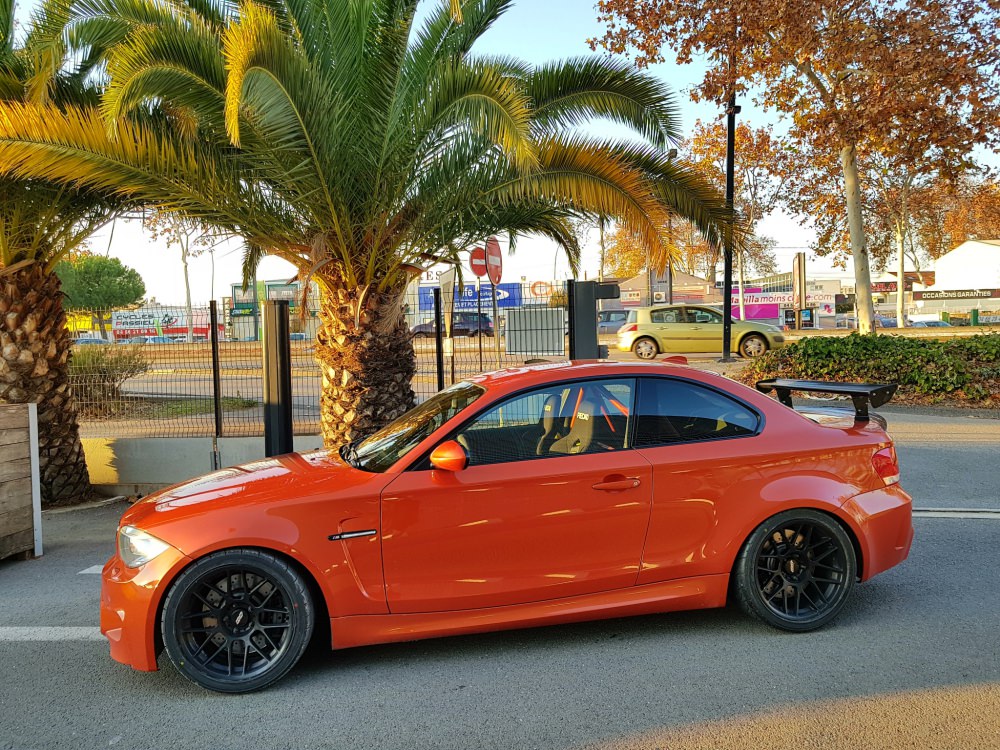 BMW1MNico.jpg