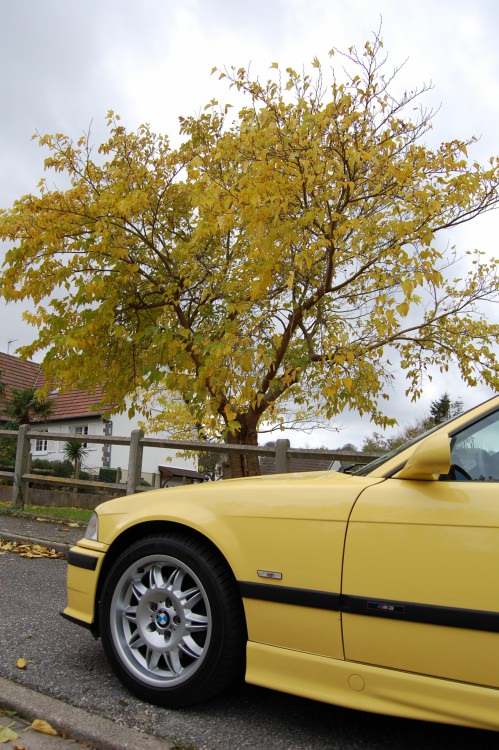 DSC_0314.thumb.JPG.cee96e91b0923101b68fcf0a2c96229d.JPG