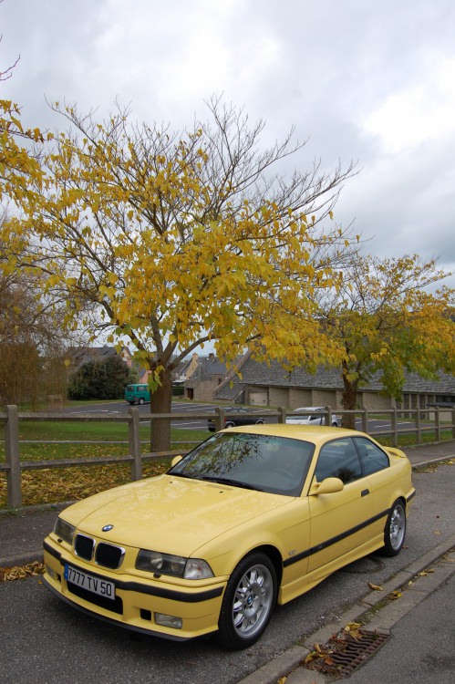 DSC_0316.thumb.JPG.b7ee3b42e08ba606aa63456c6c01593b.JPG