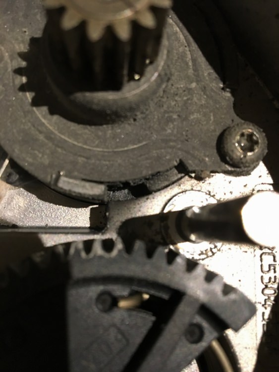 DA3245FF-783E-4387-AF36-1AAAF2D69BFD.jpeg