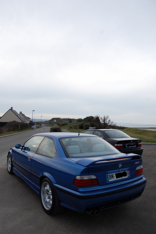 DSC_0313.thumb.JPG.72a21b920727ae6ddbeded176b723184.JPG