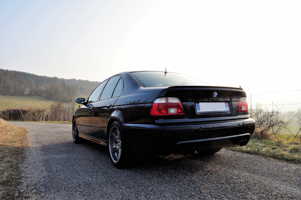 _DSC0086.thumb.JPG.eca0754215de153a87f4d5027c3ee62b.JPG