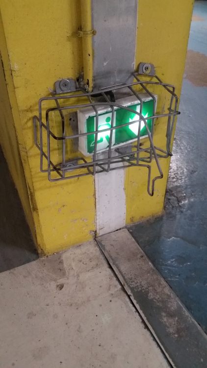 20180403_072041.jpg