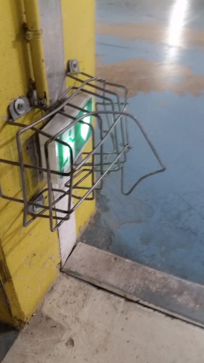 20180403_072044.jpg