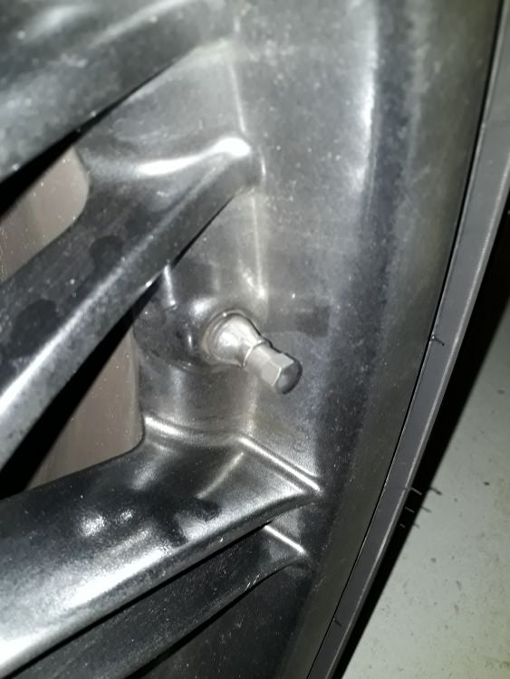 20180411_170651.jpg