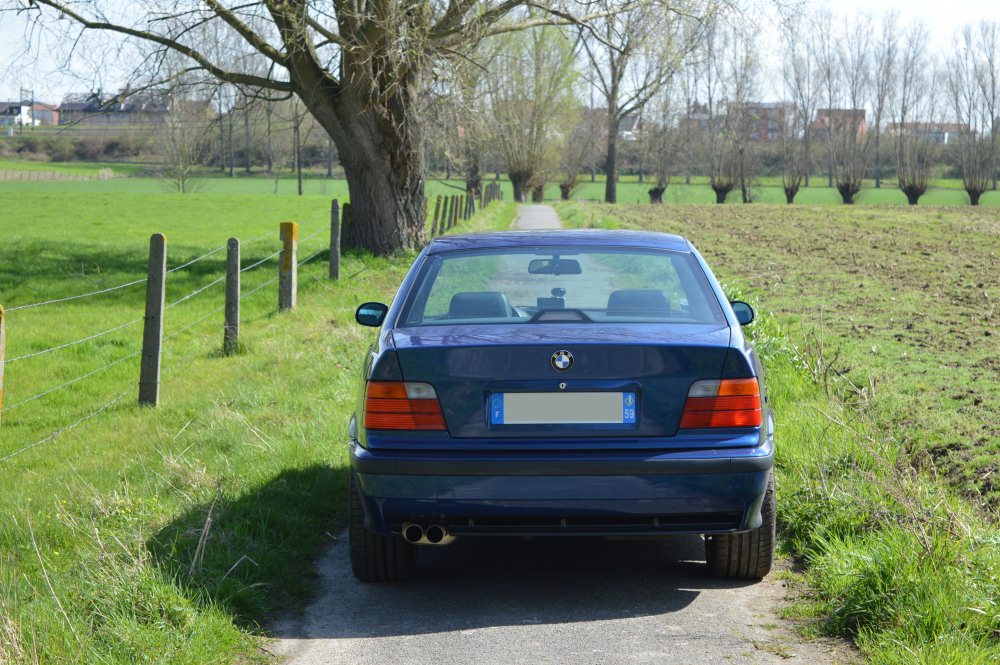 DSC_0506.JPG