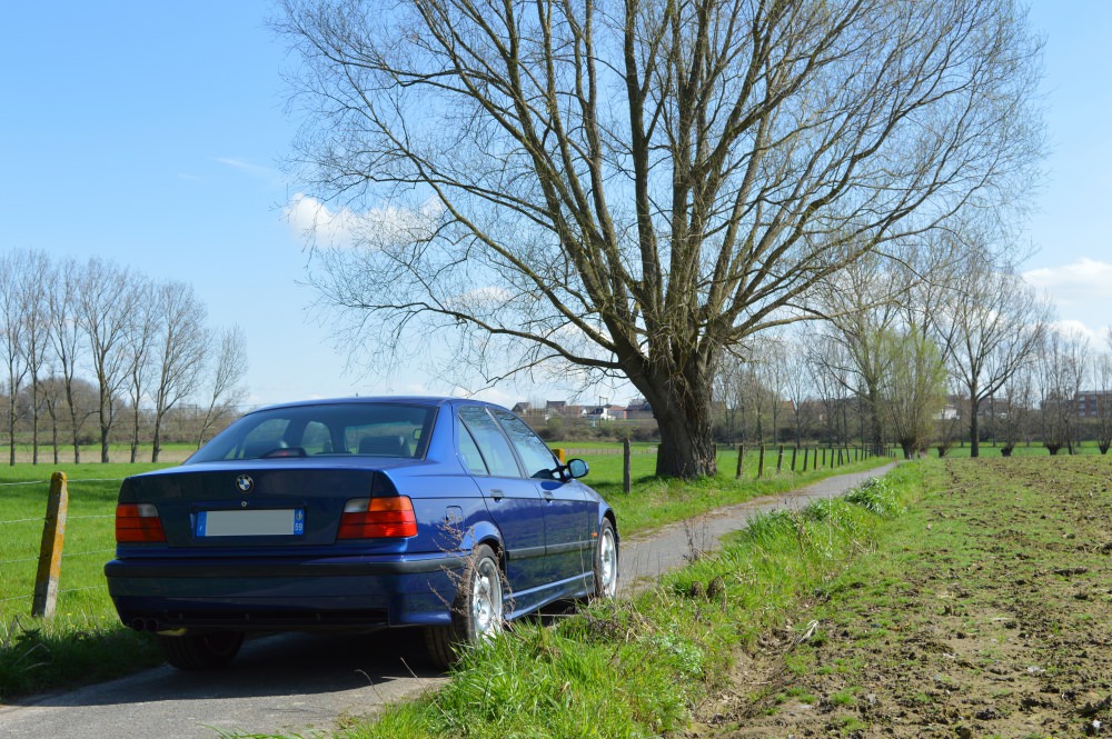DSC_0518.JPG