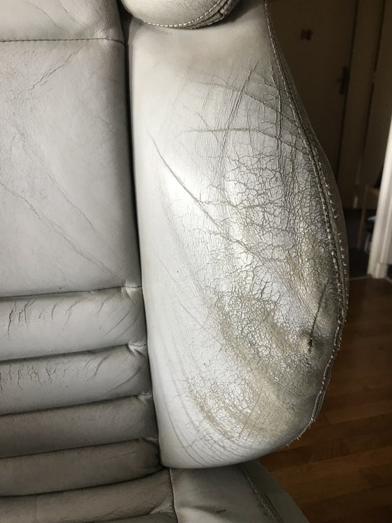 B00A0601-9901-4D28-8E77-118BED54EF5A.thumb.jpeg.01587ba343077e4a3f155adfb72c2354.jpeg