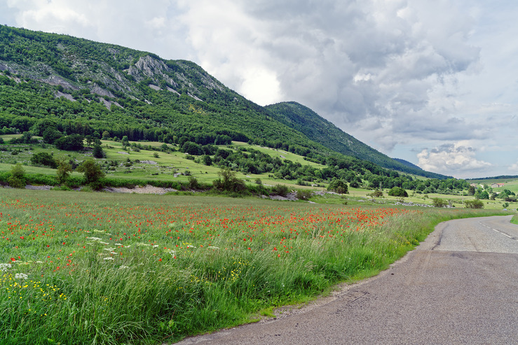 DSC07507_DxO.jpg
